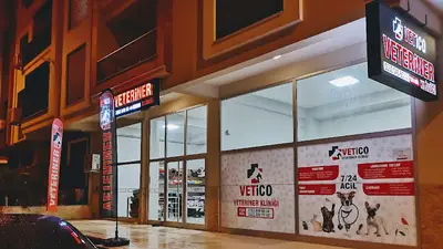 Vetico Veteriner Kliniği 7/24