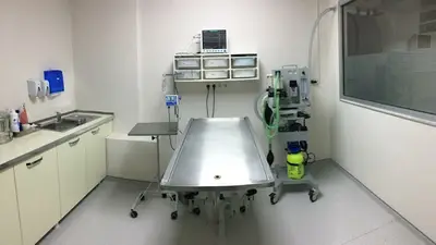 EVREN VETERİNER KLİNİĞİ -VETERINARY CLINIC fotoğrafı