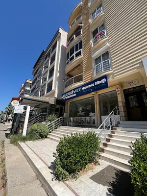 CediVet Veteriner Kliniği fotoğrafı