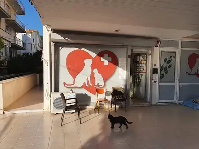 Maya veteriner kliniği