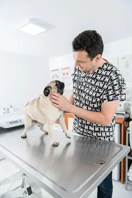 Aksoy Veteriner Kliniği