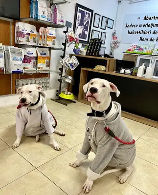 Karşıyaka Yaşam Veteriner Kliniği
