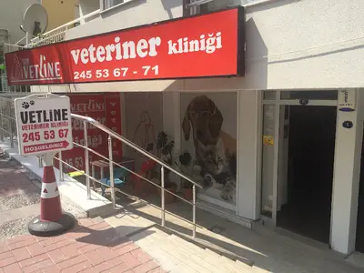 Vetline Veteriner Kliniği fotoğrafı