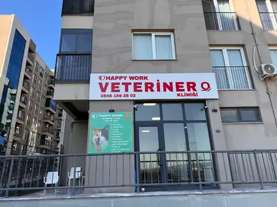 Happy Work Veteriner Kliniği fotoğrafı
