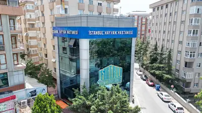 İstanbul Hayvan Hastanesi fotoğrafı