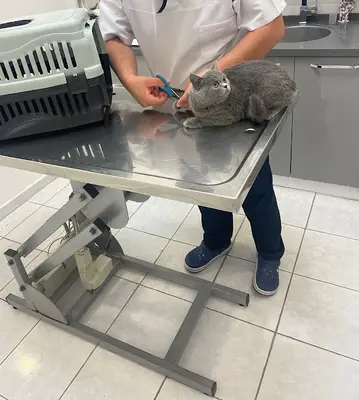 Pati Veteriner Kliniği fotoğrafı