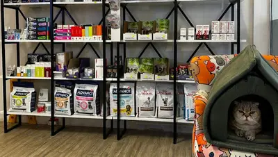 My Lia Veteriner Kliniği fotoğrafı