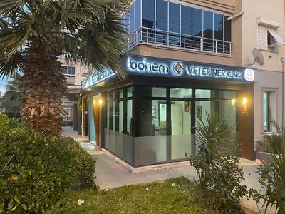 Bohem Veteriner Kliniği fotoğrafı