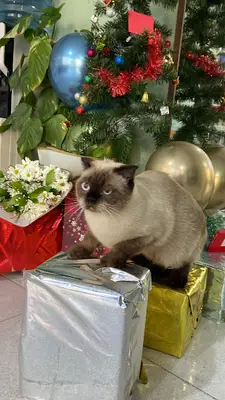 Pet Time Veteriner Kliniği fotoğrafı