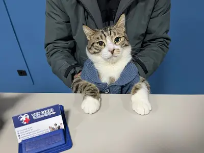 Vet Good Veteriner Kliniği