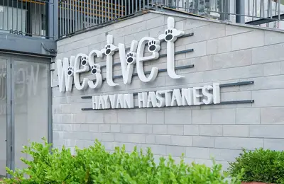 Alacaatlı Veteriner - Westvet Hayvan Hastanesi