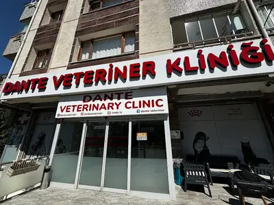 Dante Veteriner Kliniği fotoğrafı