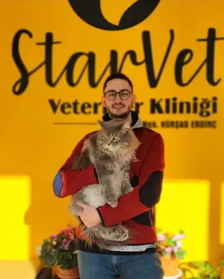 StarVet / Dikmen Veteriner Kliniği 7/24 fotoğrafı