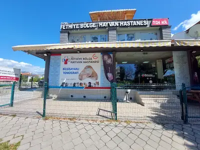 Özel Fethiye Bölge Hayvan Hastanesi