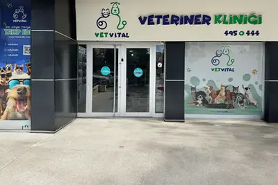VetVital Veteriner Polikliniği fotoğrafı
