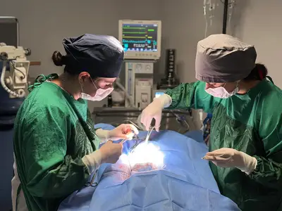 Nova Veteriner Kliniği