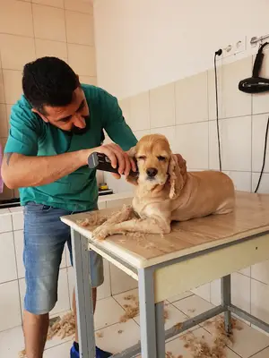 Pets inn veteriner kliniği fotoğrafı
