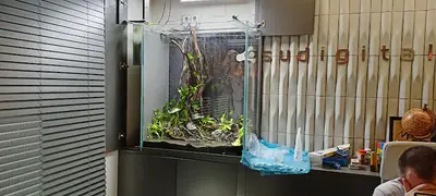 Bursa Aqua Farm