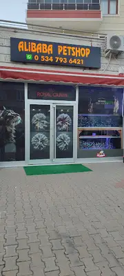 Ali Baba Petshop