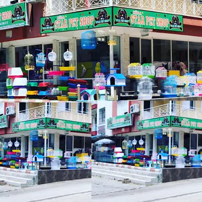 Dokuz Petshop fotoğrafı
