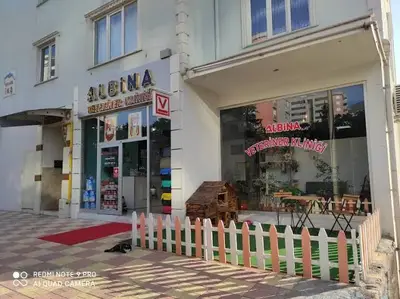 Albina veteriner kliniği