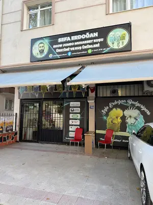 Sefa Erdoğan Muhabbet Kuşu Üretimi ve Kuş Ürünleri