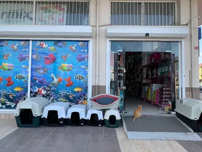 METİN AKVARYUM 3