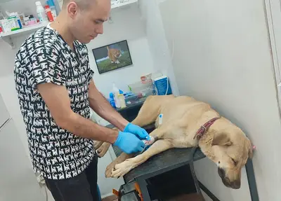 Kandıra Tugay Veteriner Kliniği