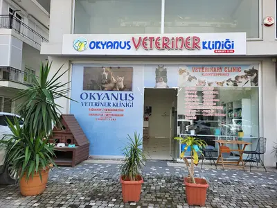 Okyanus Veteriner Kliniği fotoğrafı