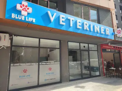 Blue Life Veteriner Kliniği