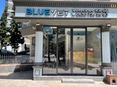 BLUEVET VETERİNER KLİNİĞİ