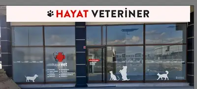 Ayvalık hayat veteriner kliniği