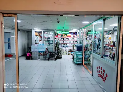 Alpemir Petshop ve Akvaryum CarrefourSA şube