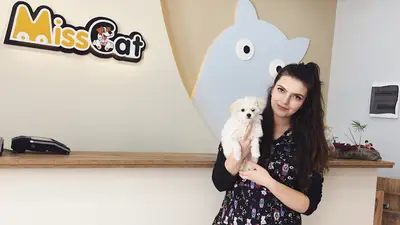 Miss Cat Veteriner Kliniği