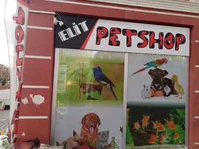 Elit Petshop