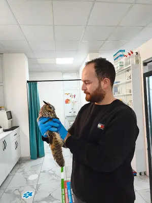 Yiğit Veteriner Kliniği