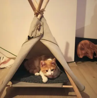 DURU VETERİNER PET KLİNİĞİ ÇİVRİL