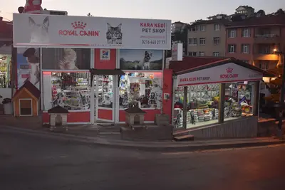 Kara Kedi Pet Shop