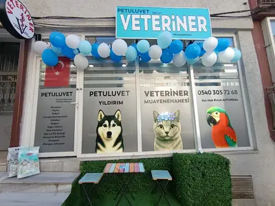 Petuluvet Yıldırım Veteriner Kliniği fotoğrafı