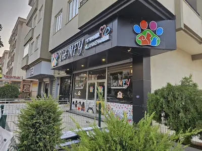Vet MFY VETERİNER MUAYENEHANESİ