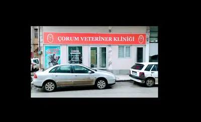 Efe Veteriner Kliniği