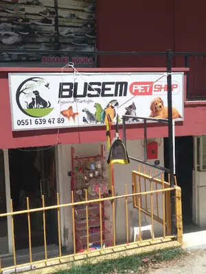Busem petshop fotoğrafı