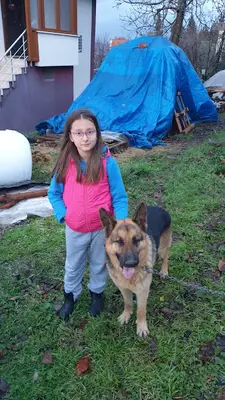 Pet Klinik Karamürsel