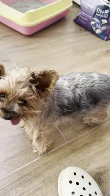 Özel Çukurova Veteriner Kliniği