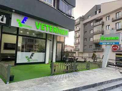 Dikmen Vetophia Veteriner Kliniği fotoğrafı