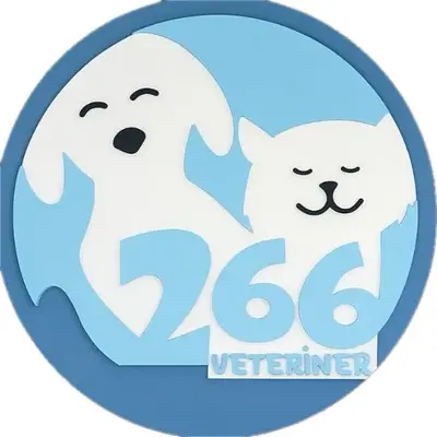 Bandırma 266 Veteriner Kliniği