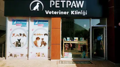 Patimoon Hayvan Sağlık Kabini