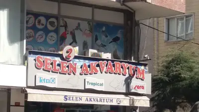 Selen Akvaryum 1