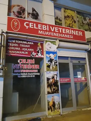 Çelebi Veteriner kliniği