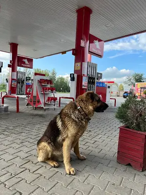 Tuğra Veteriner Kliniği